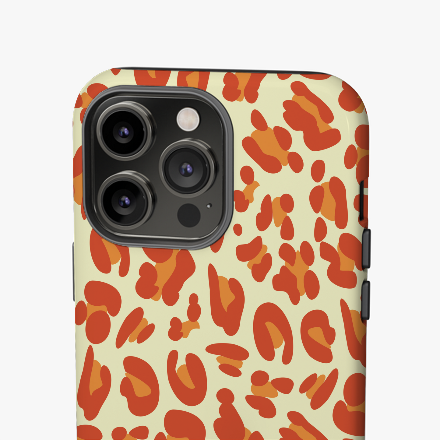 Impressions Sauvages & Couleurs d'Automne