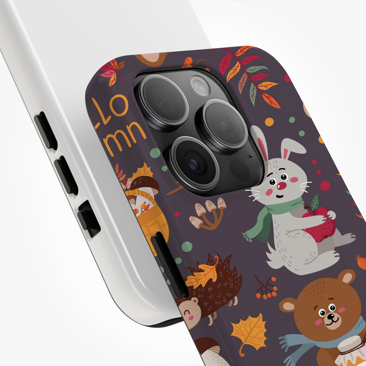 Animaux d'Automne & Feuilles Colorées